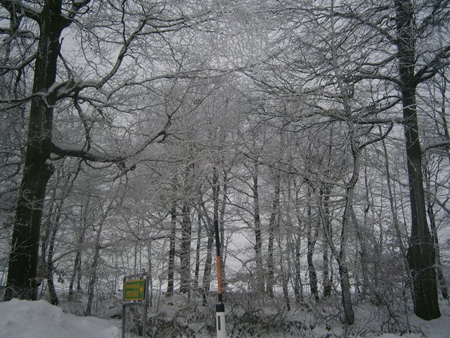 Waldviertel winter