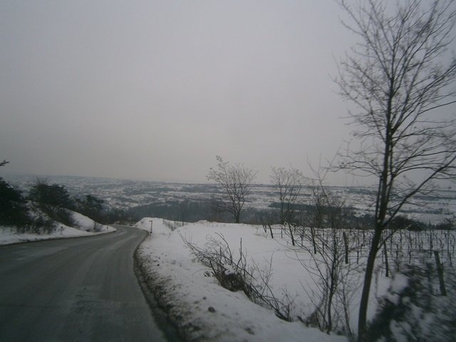 Waldviertel winter
