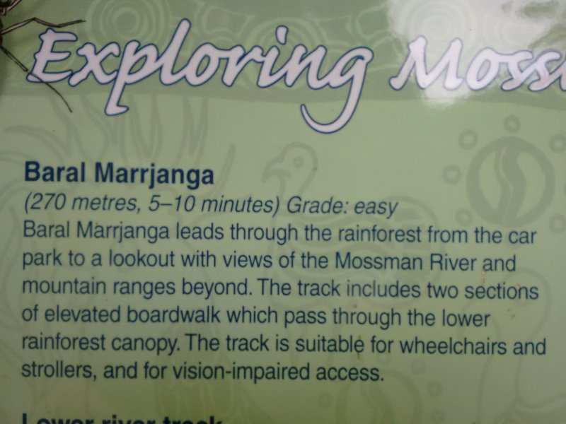 Exploring Mossman Gorge